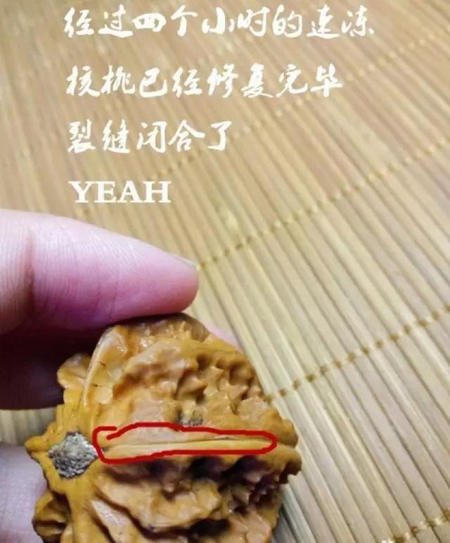 核尖开裂是正常现象吗,核壁容易开裂