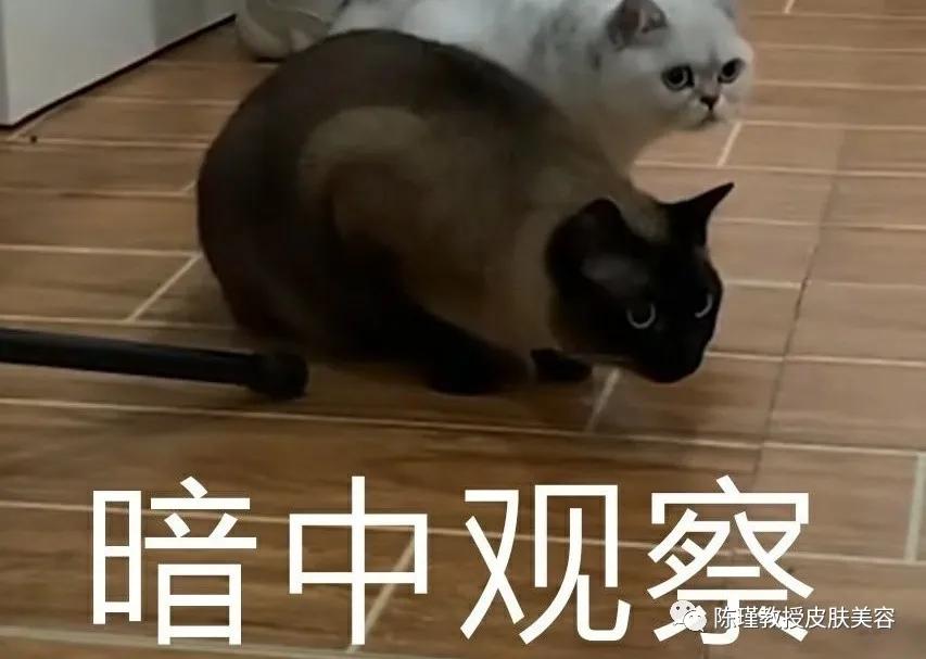 冯小刚条件那么好，为什么治不好白癜风？白癜风是否是不治之症？