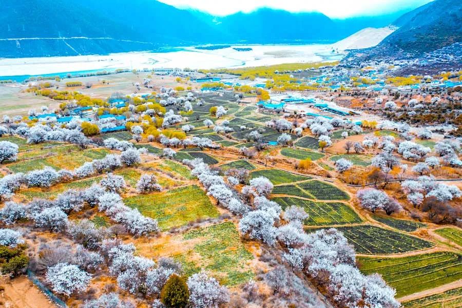 冬日的西藏才是人世间最美的天堂,西藏朝圣路上的美景