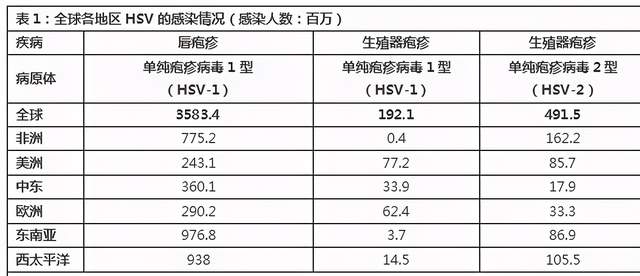 hsv干扰免疫应答及抗原选择,hsv病毒培养