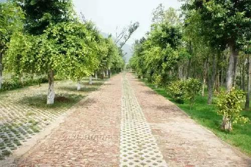 五一小长假昆明周边露营地点推荐,昆明周边户外露营游