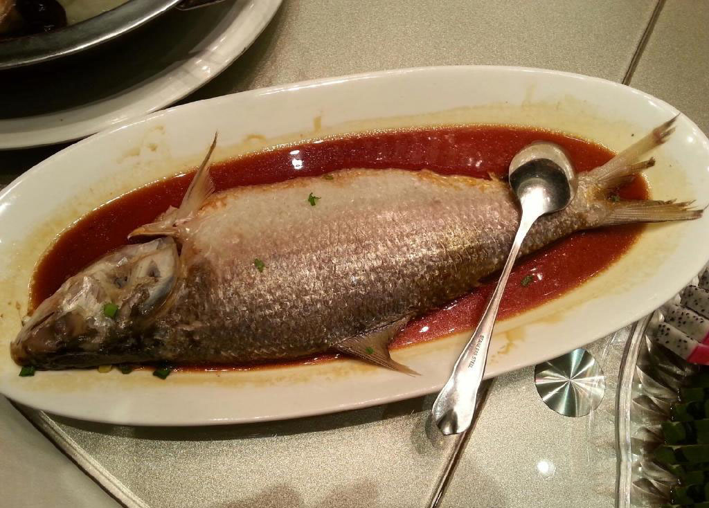 长江三鲜河豚刀鱼鲥鱼,鲥鱼是不是绝迹了