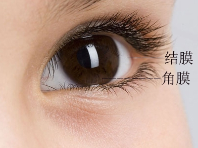 强直性脊柱炎腰背疼痛怎么办,腰背一直疼可能是癌症吗