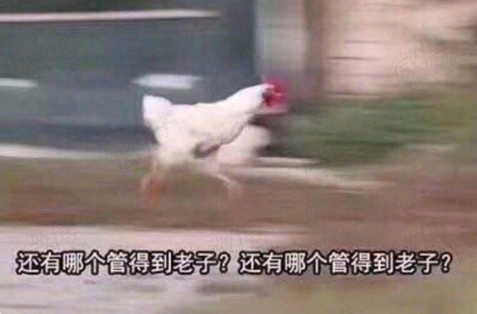 离职申请书应该避开哪些坑,离职申请书怎么写最简单的方法