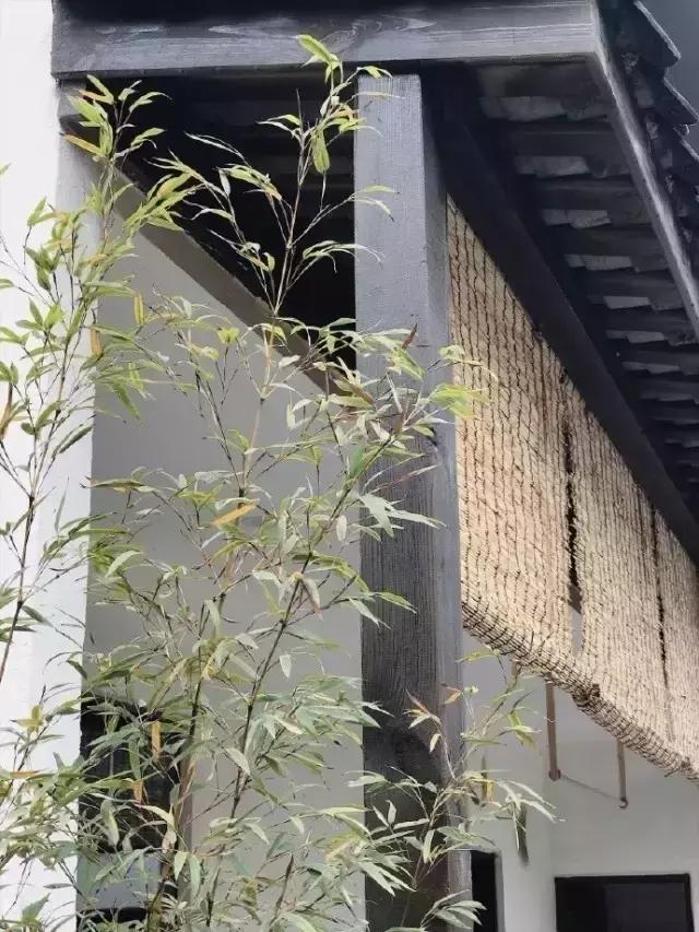 90后小伙花100万造房子,90后小伙花几千元装修500个平方