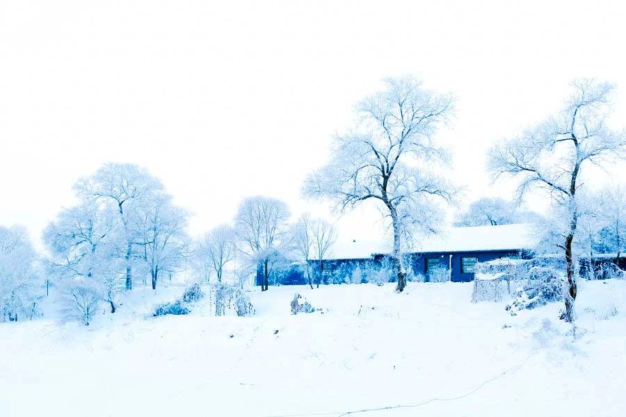 冬季的庭院景观,美丽如画的自然景观让人心旷神怡