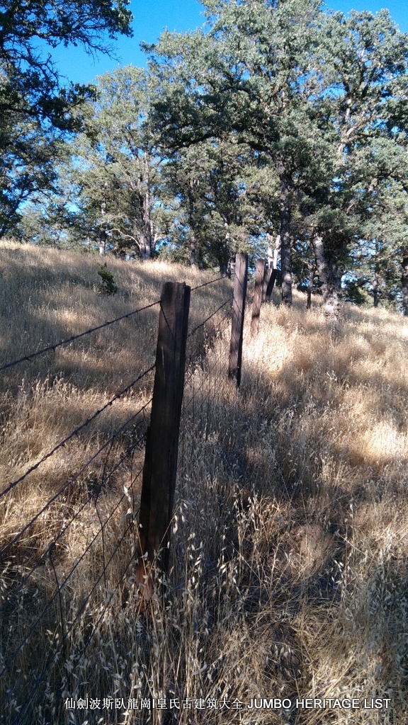 第3045回:人生一世草生一春,来如风雨去似微尘