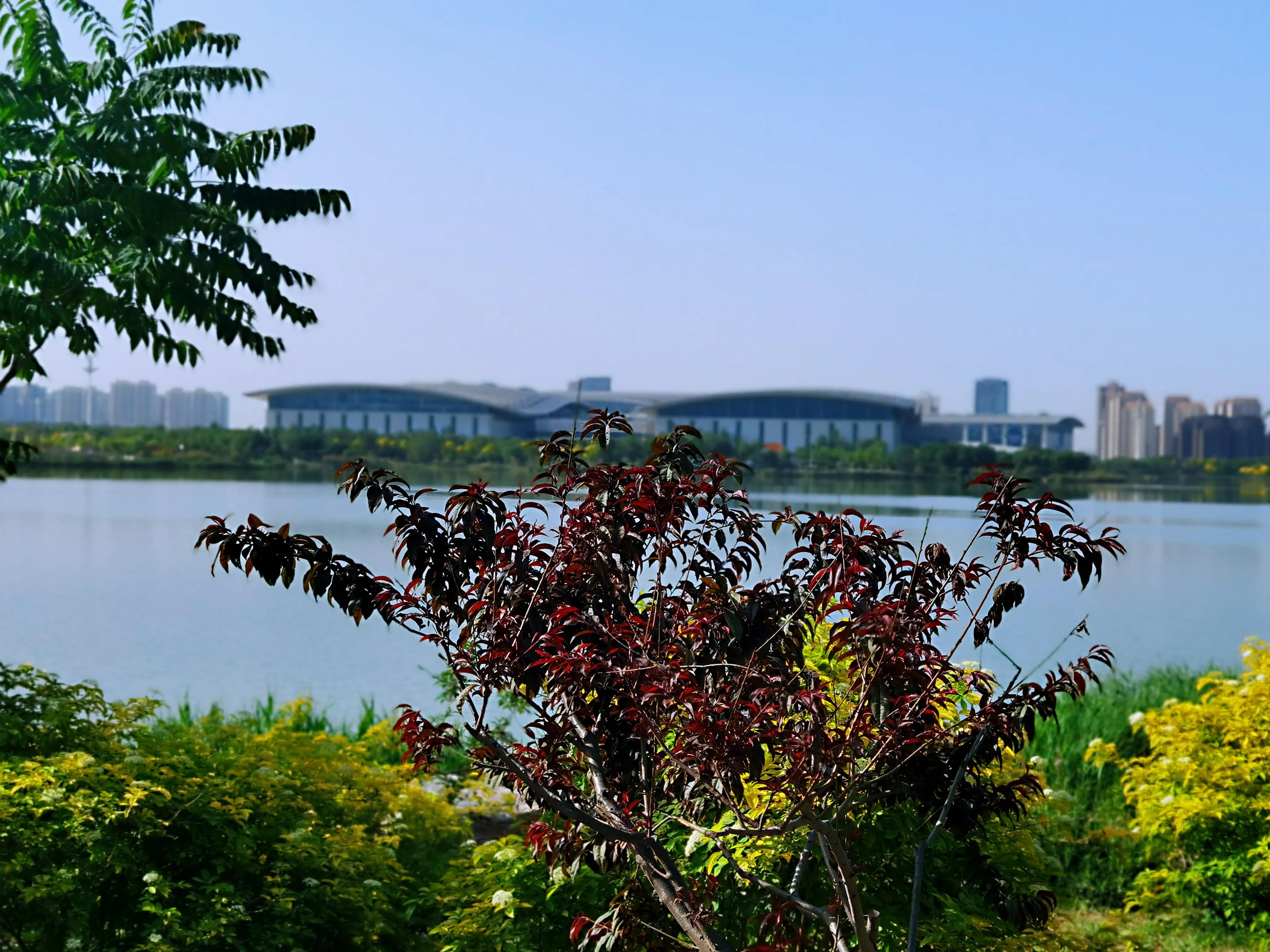 梅江公园风景区特点,信宜梅江公园