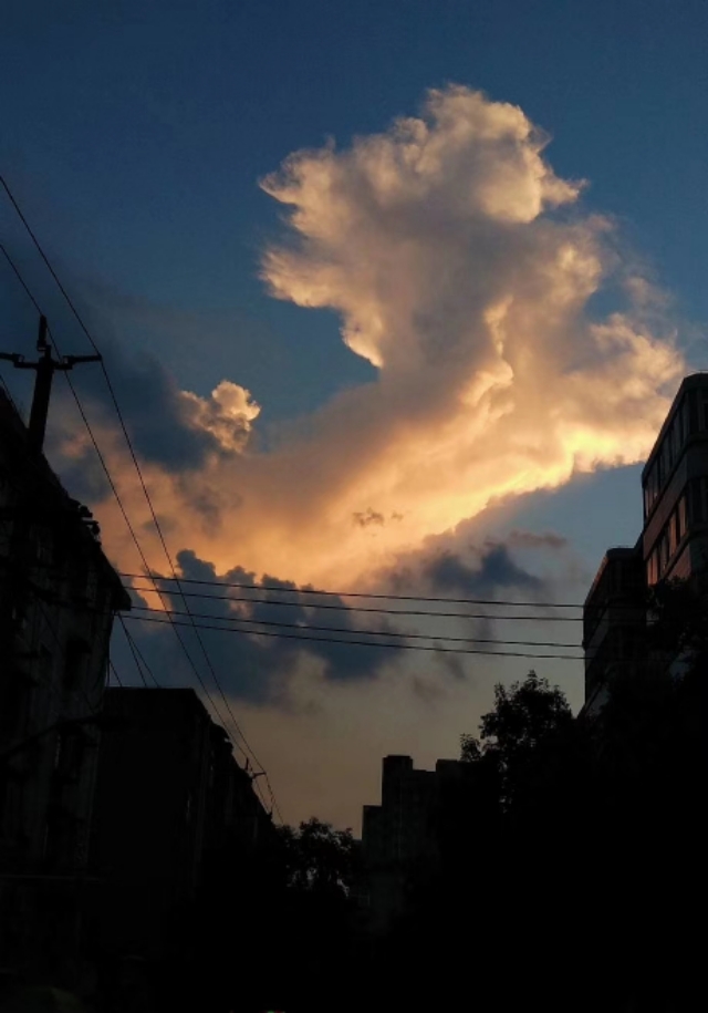 2019犯凶星的属相,2019年犯凶星的属相