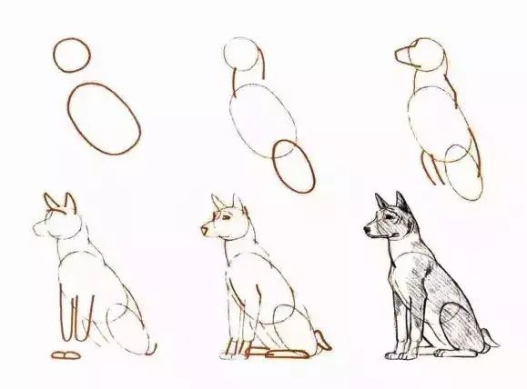 你想要的简笔画教程,一学就会的简笔画教程