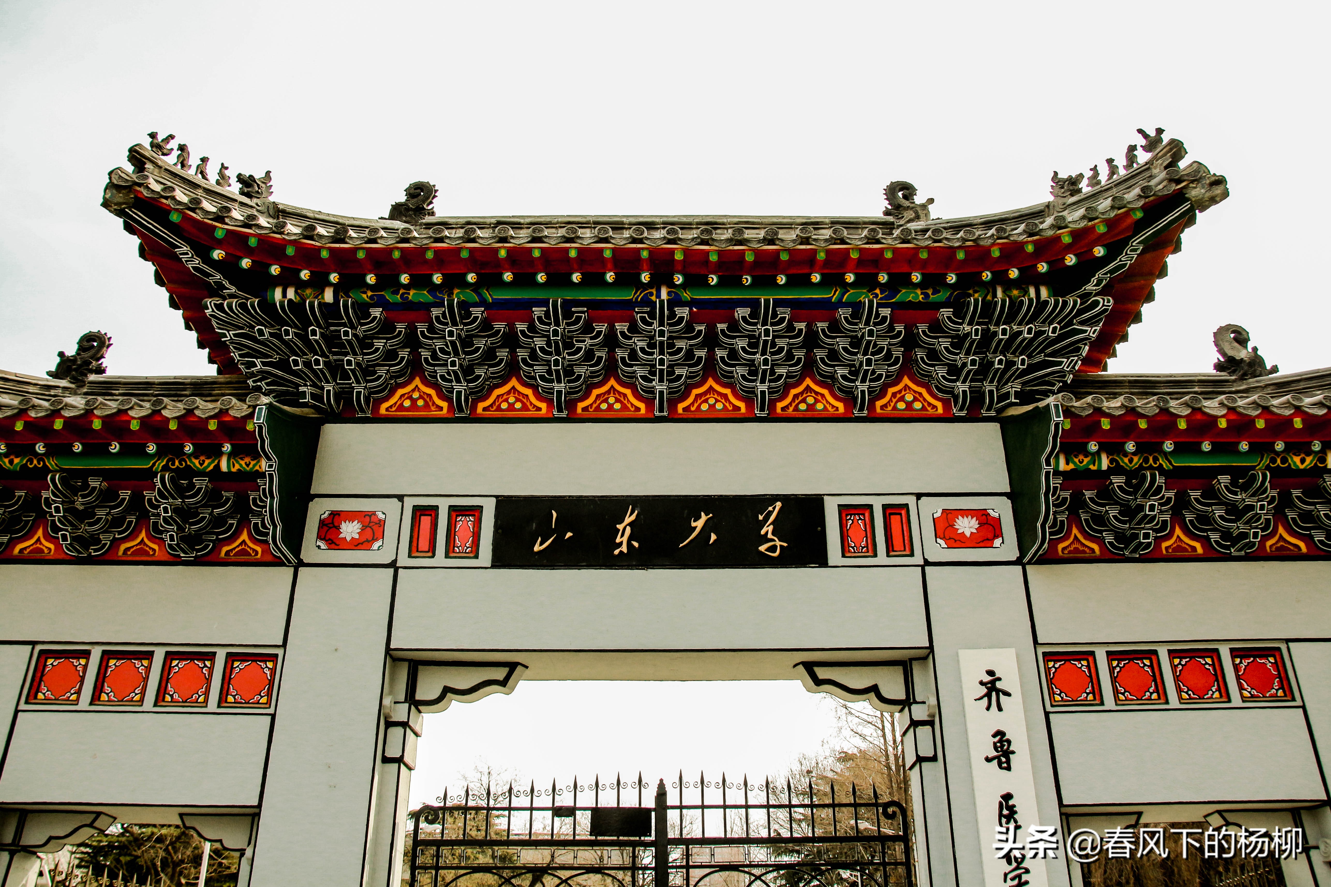 山东第一医科大学最新排名,山东第一医科大学排名最新