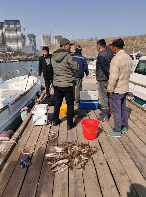 小平岛船钓视频,小平岛船钓钓点