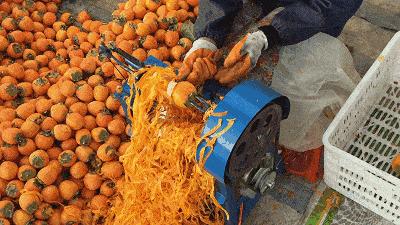 正宗的富平柿饼知识普及，记得收藏