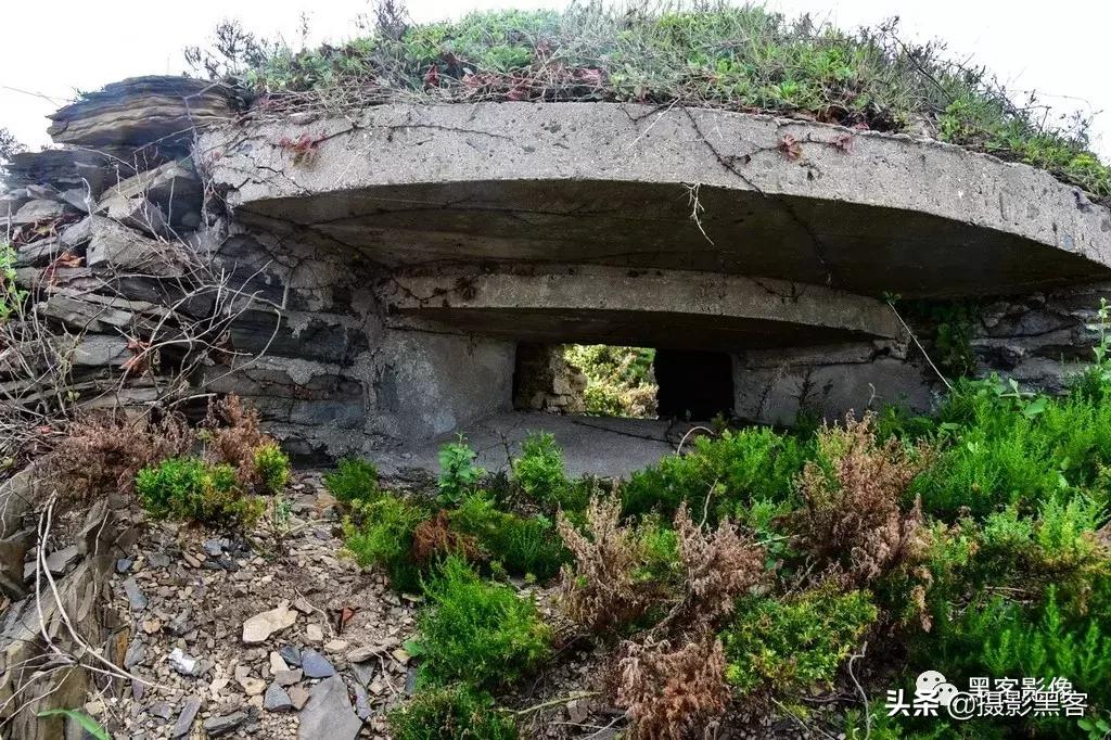 精致小青岛,秀美渔村入画来