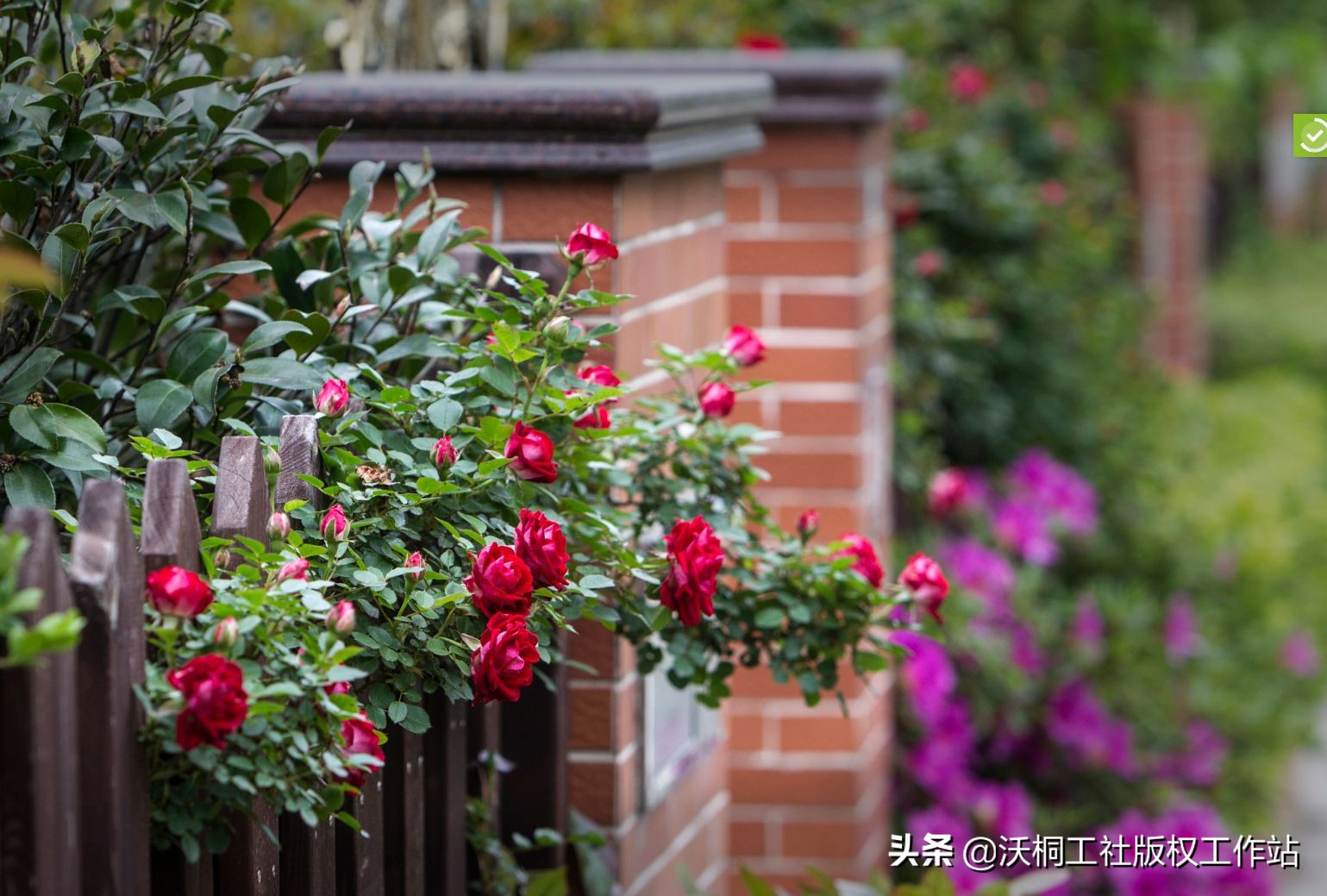 祥泰之州—凤城有佳木
