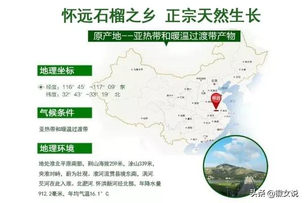 安徽怀远石榴是什么味道,安徽怀远石榴图片