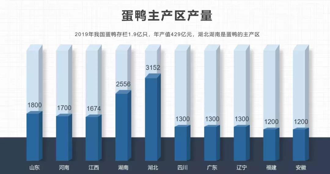 全国蛋鸭品种存栏,2024年蛋鸭存栏