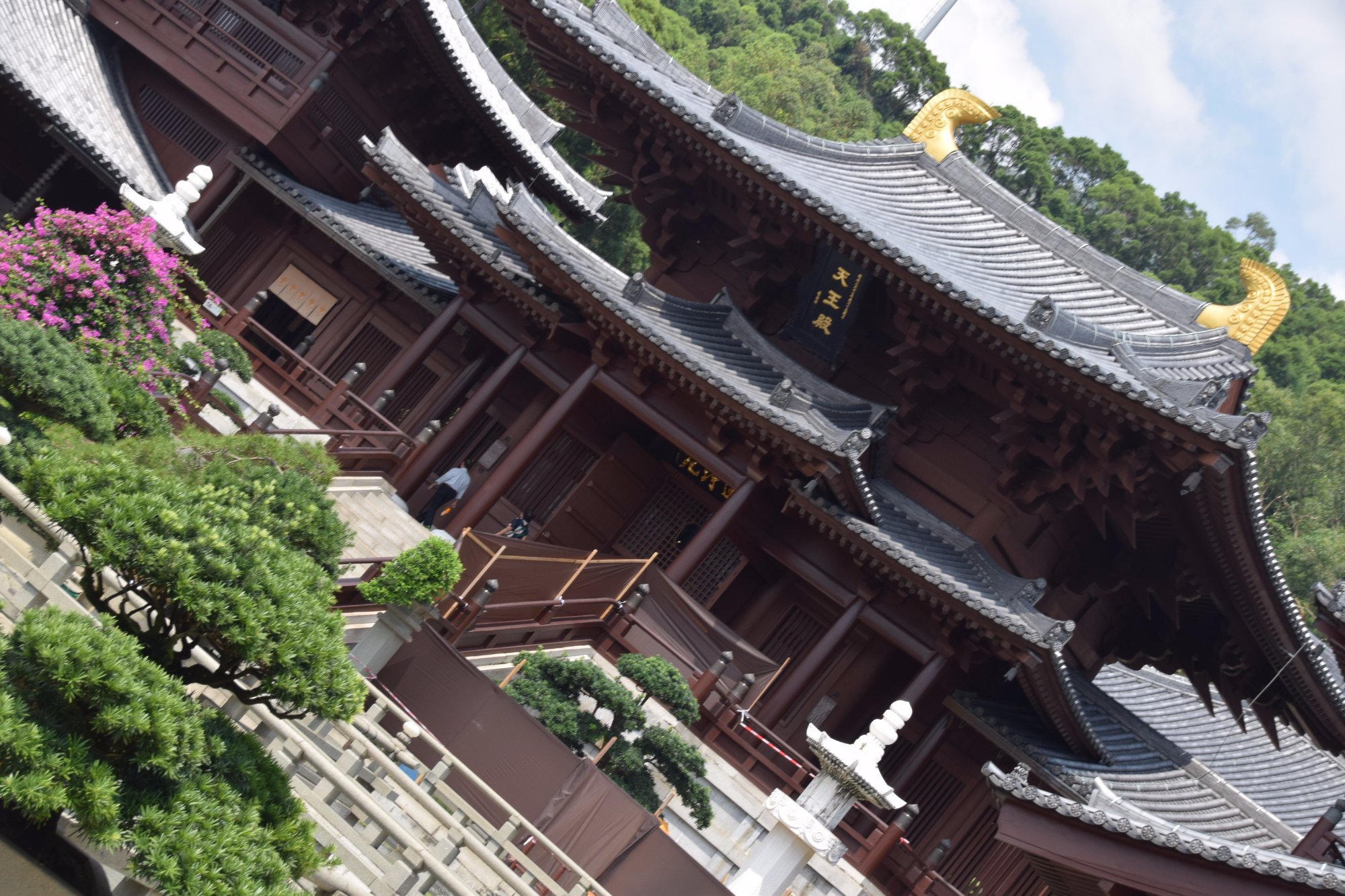 香港志莲净苑地图,香港志莲净苑好玩吗