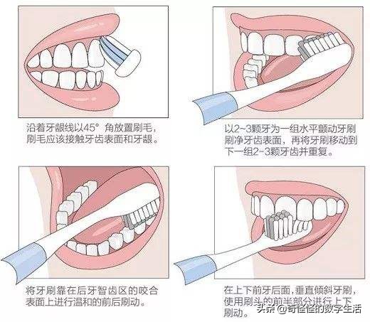 电动牙刷欧乐b牙刷测评,欧乐b电动牙刷不按刷头不转