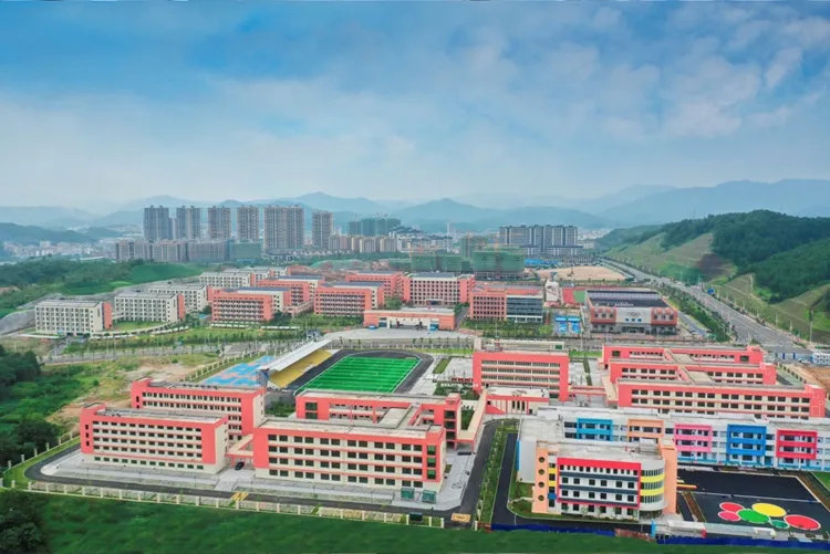 全南探索“政企结合”推动优质教育资源下沉惠民