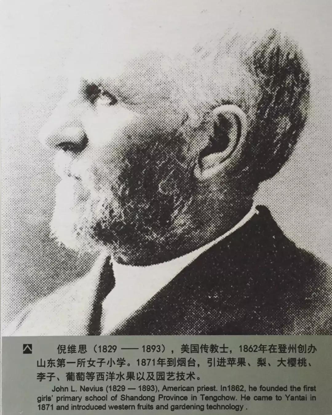 为什么烟台的海边不潮呢,烟台海边怎么样