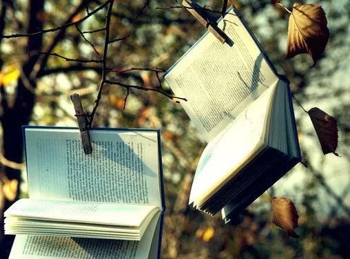 老书迷:攒了一堆书,从来没有读,怎么办?借出去!