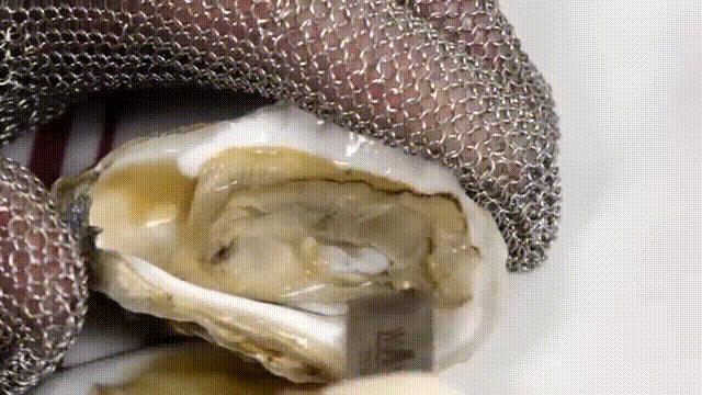 “海中牛奶”生蚝究竟能不能生吃?一篇文章解析牡蛎的养殖与品质