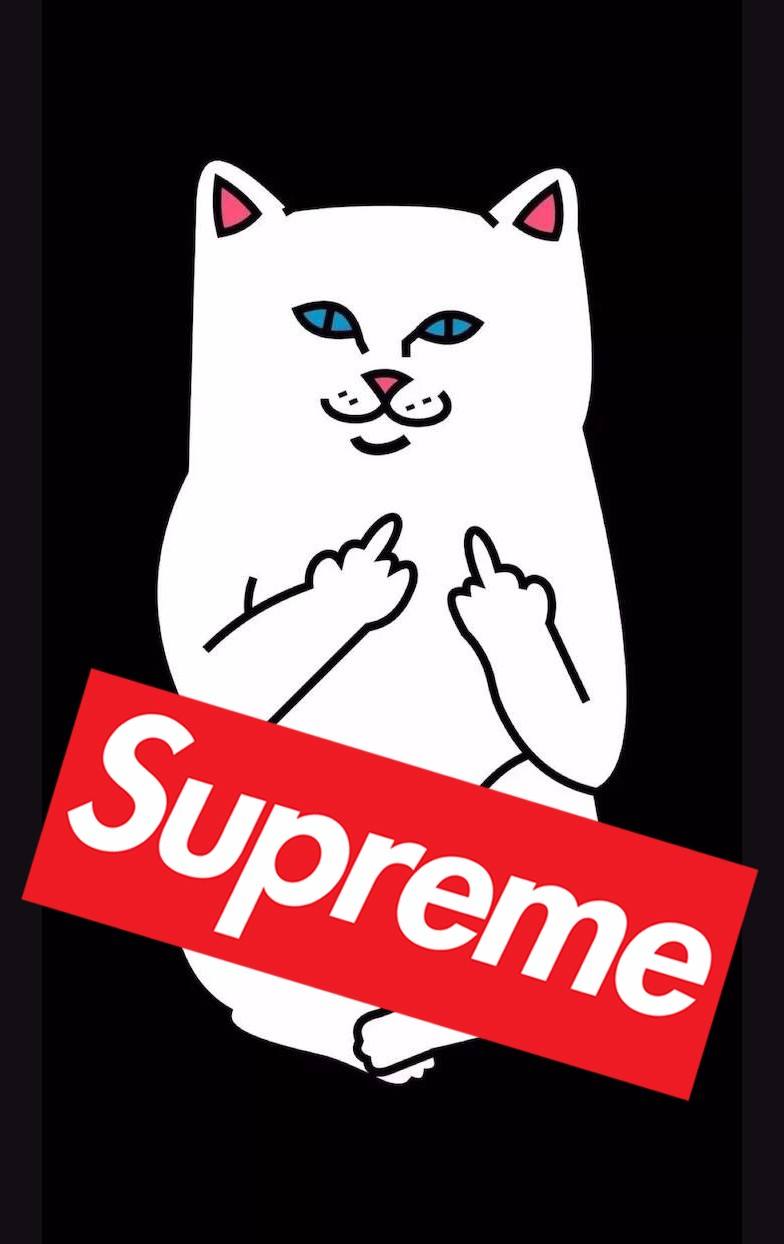 supreme十大良心单品,帮你拥有翻倍卡