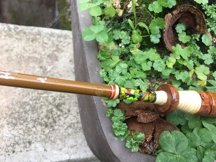 罗汉竹竿,罗汉竹和什么搭配好看