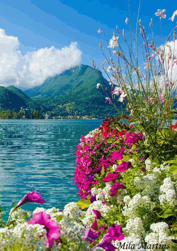 100张会动照片,30张罕见且迷人的图片