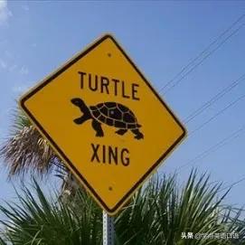 斑马线有人的符号是什么意思,斑马线上的英文什么意思