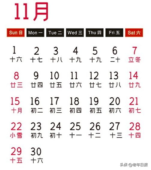 2022年最美的精品小挂历图片,2020年挂历国画牡丹花大全