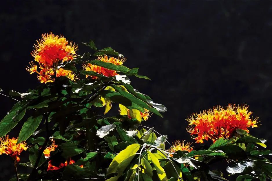 躲进这道地球上“美丽的伤痕”里，感受盛夏直降10℃的清凉