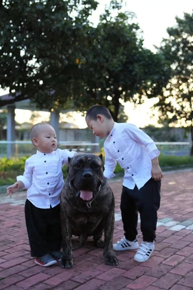 臻封面Vol.2|她是差不多小姐,更是狠角色美妈