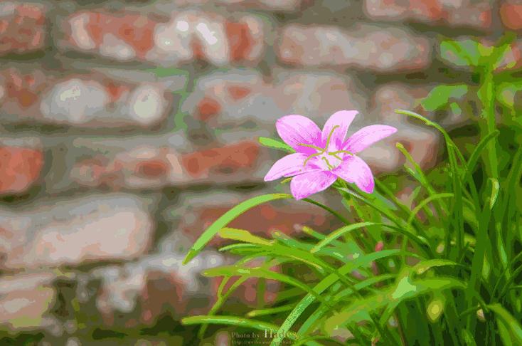 朝天三天旅游攻略,朝天区旅游攻略自驾游