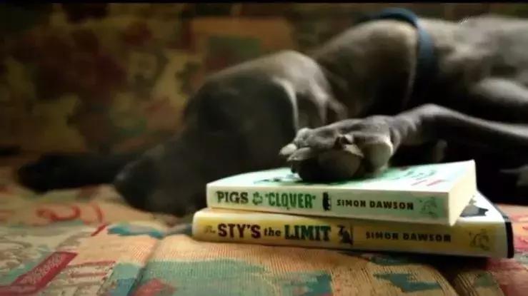 隐居深山30年以种地为生,隐居深山生活养动物