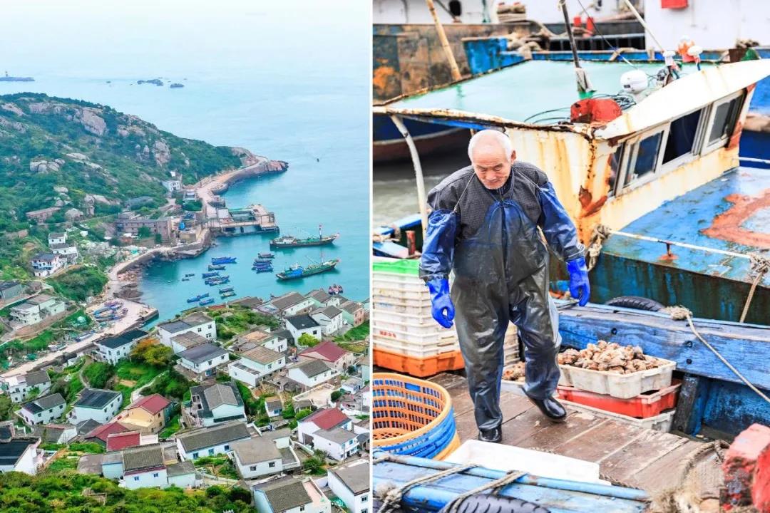 渔都舟山群岛的海鲜果然名不虚传,舟山渔港最好吃的海鲜