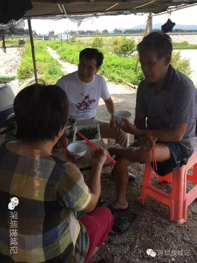 深圳福永黄油蟹做法,深圳正宗黄油蟹