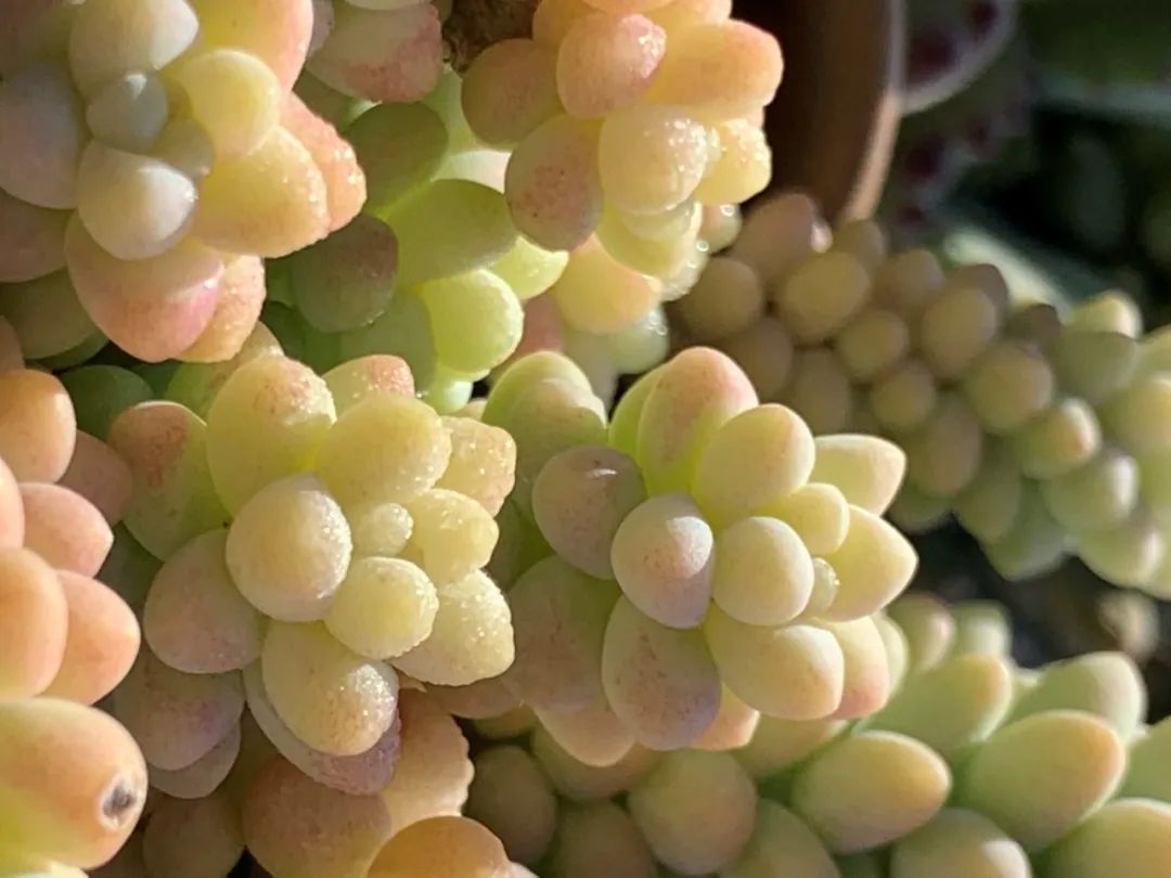 禁足的日子收获颇多,禁足