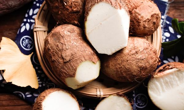 江苏宜兴十大特产零食,无锡市宜兴十大特产有哪些