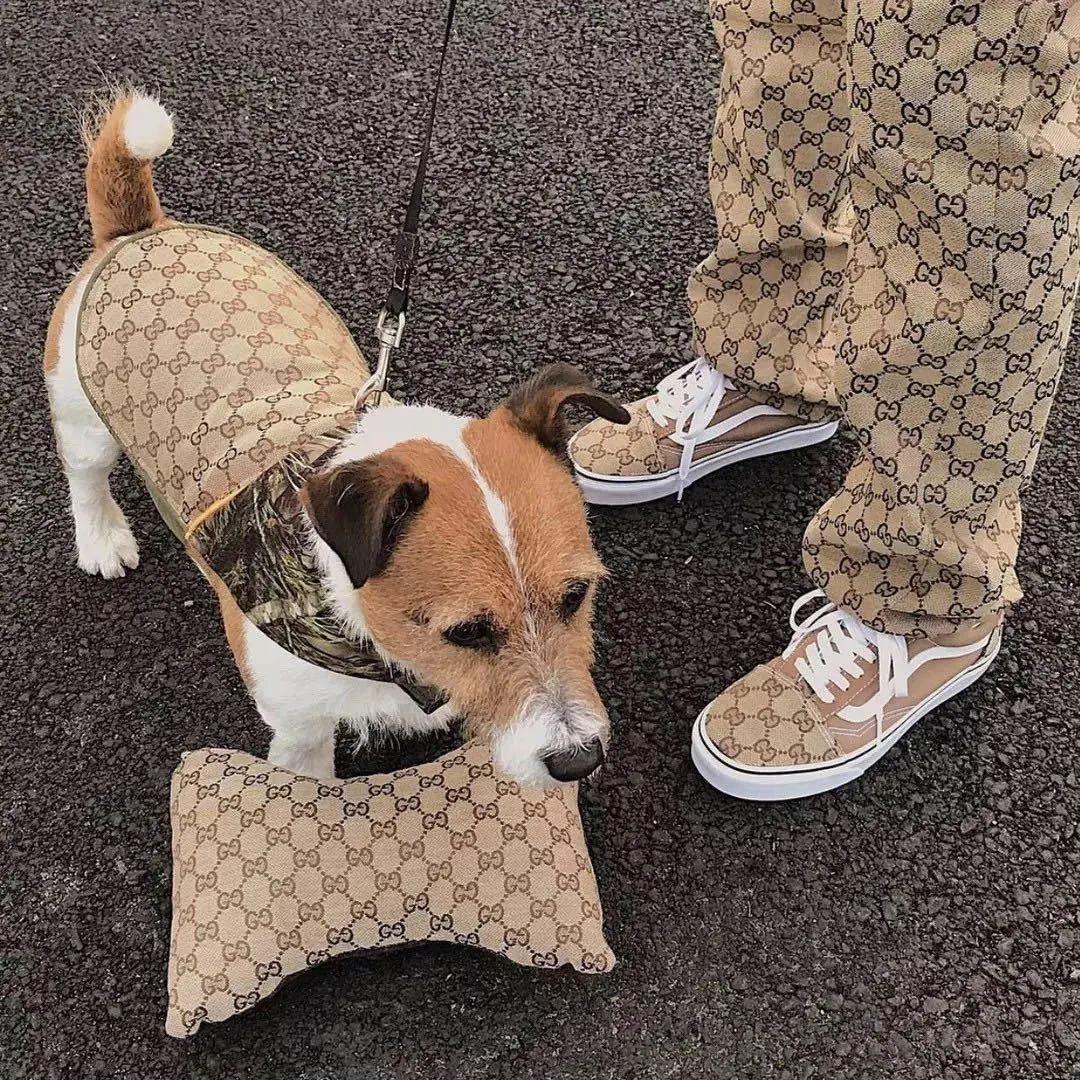 lisa碧梨,碧梨lisa是什么关系