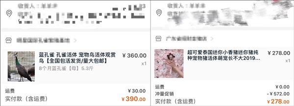 双11购物气死丈夫,双11成交惊呆老外