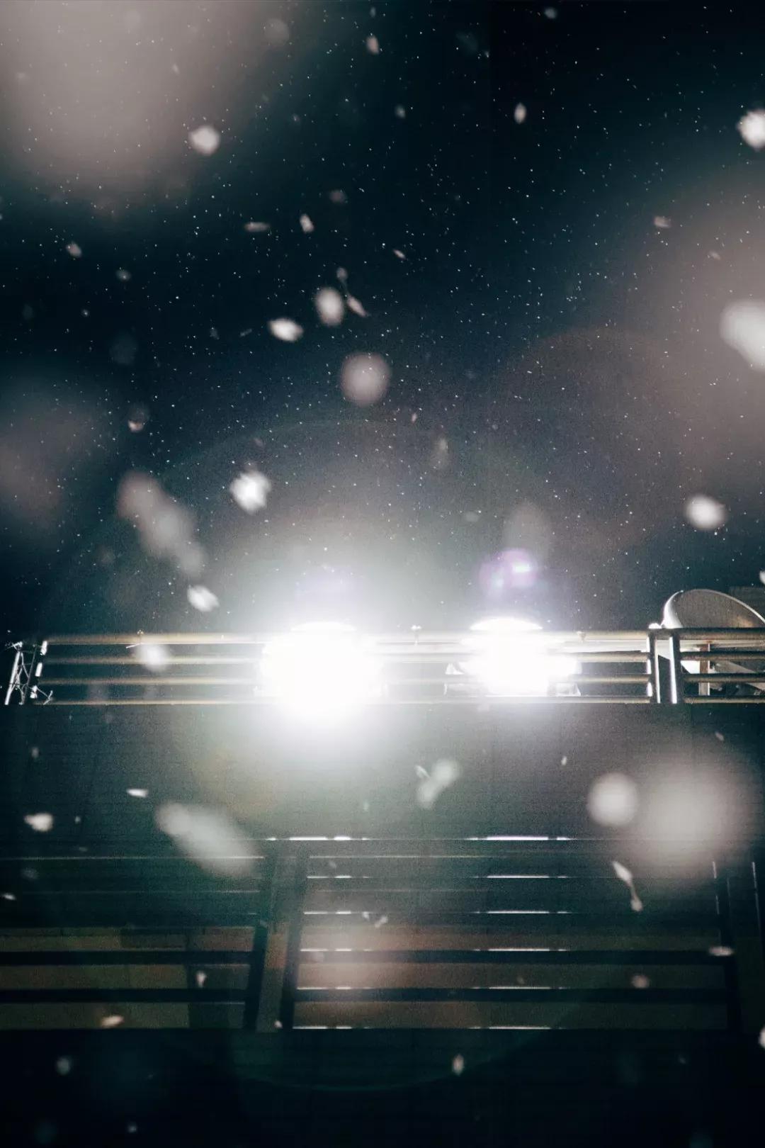 辽宁省高校(三十二)大连外国语大学