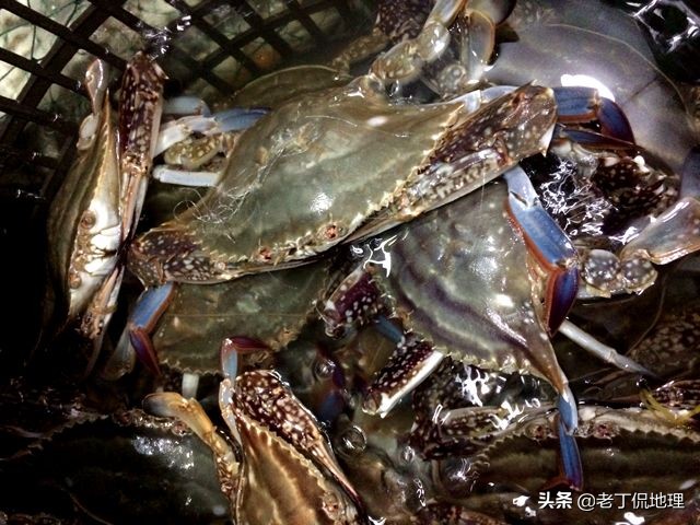 中国海鲜地图,中国海鲜最多地区