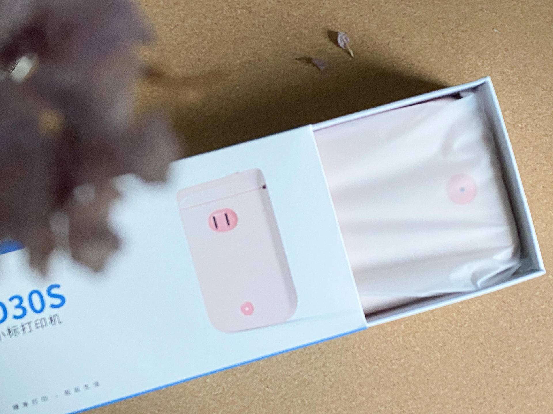 标签纸胶带纸随意打，家里小物分得清，小标D30S打印机体验