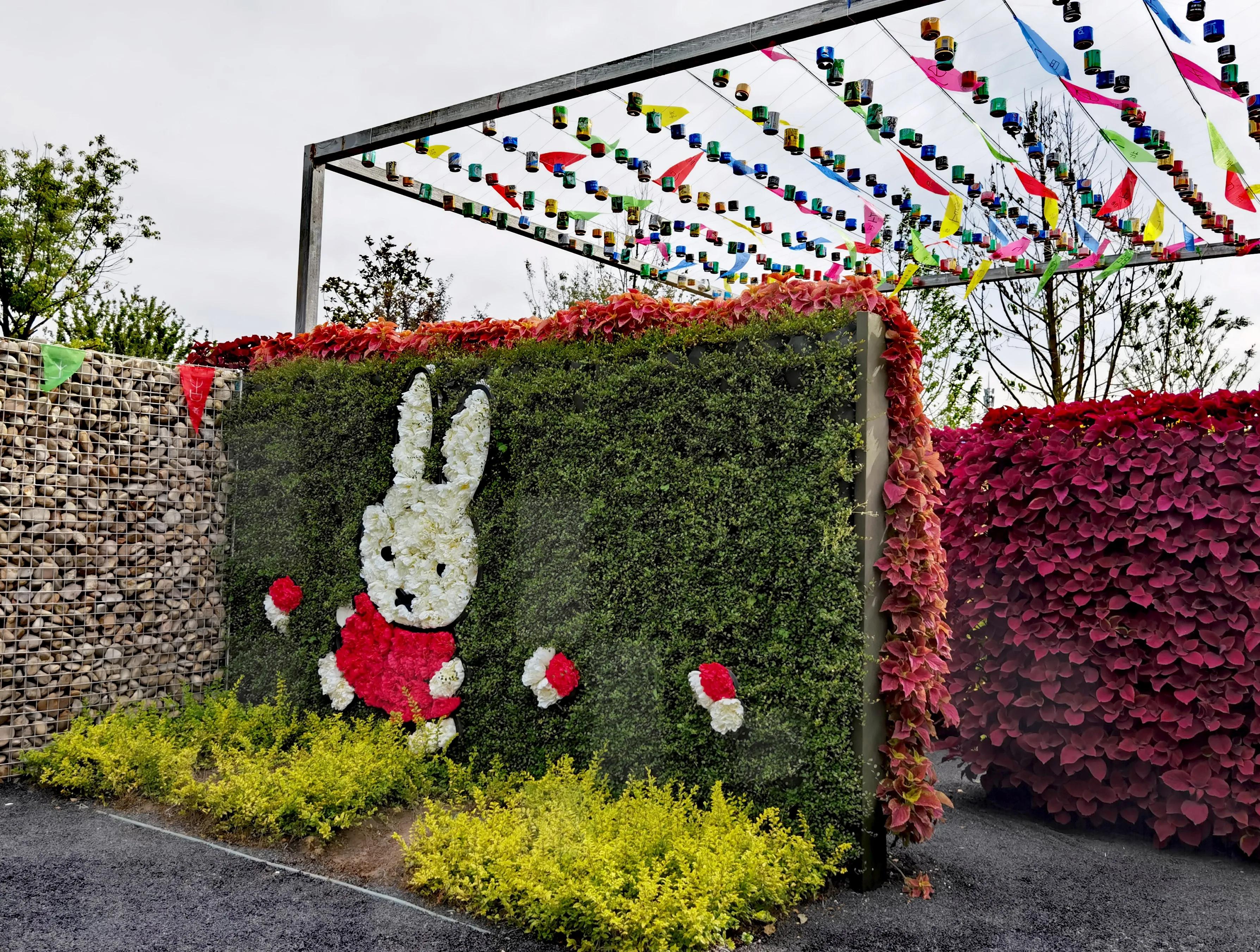 关于崇明花博会,崇明花博会全程花景