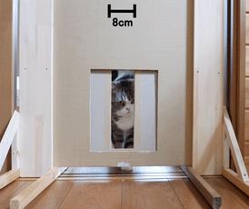 为测量猫咪体积，一网友对自家主子出手了，却完美证明喵是液体的