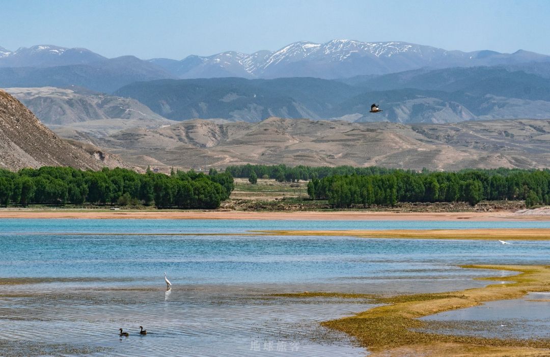 武威市是中国第三大城市吗,武威作为丝绸重镇
