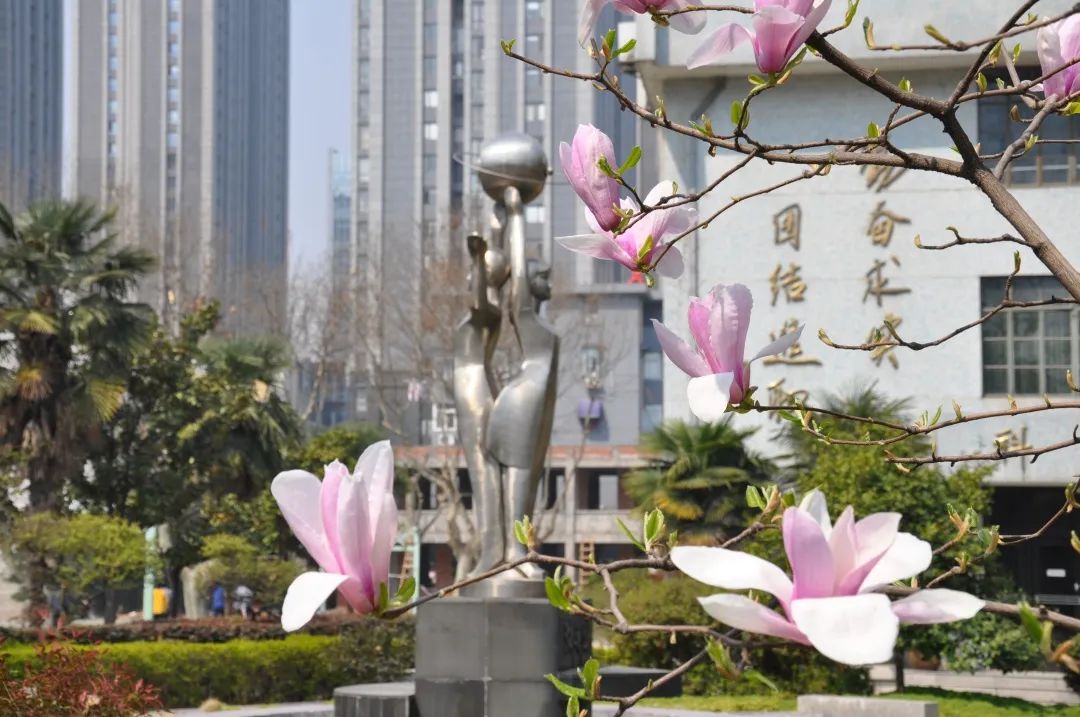 南京市第九高中,南京九大名校高中