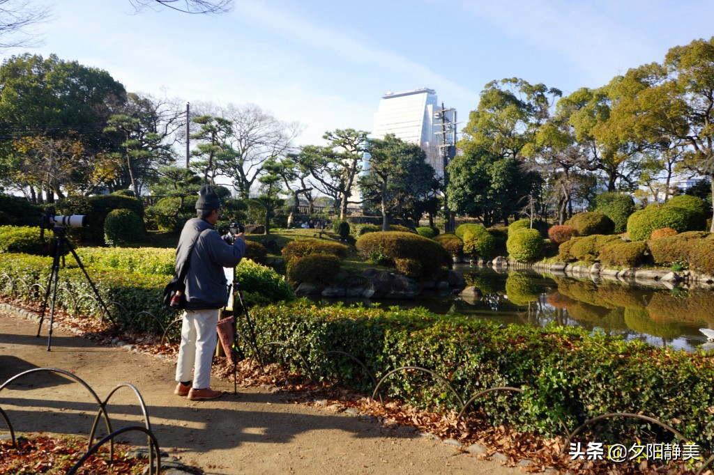 大阪心斋桥一人游攻略,旅游回来心得
